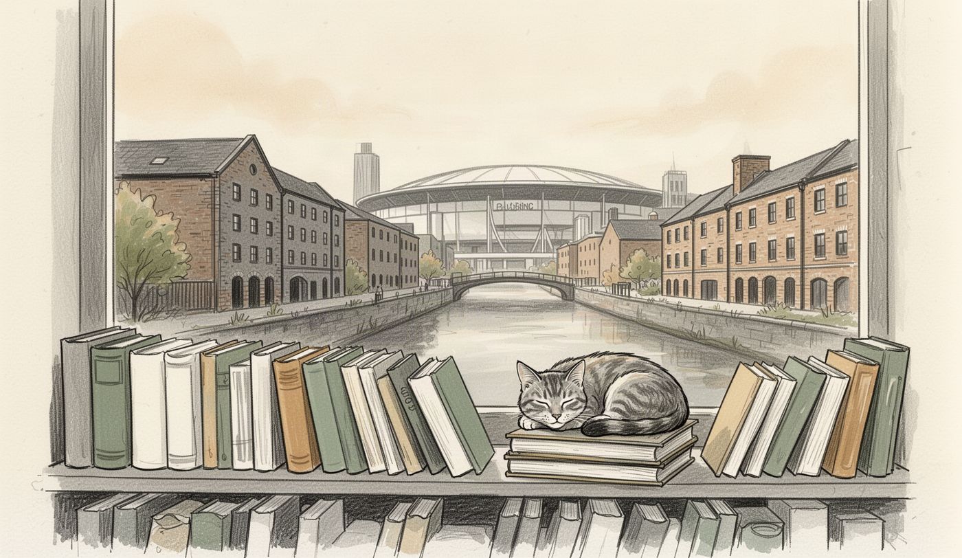 Illustration of a charity shop window in Birmingham